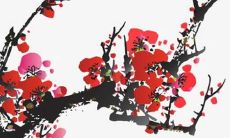 属兔2023年农历六月