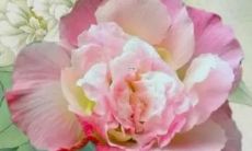 辛酉女2022事业运势