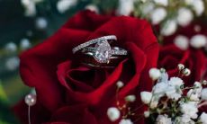 毅力顽强的星座