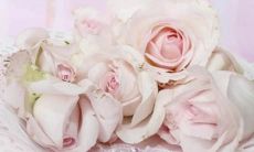 射手座和摩羯座配对指数