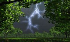 属虎和属虎的婚姻好吗 属虎和属虎人能不能在一起合作