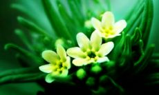 梦见还钱给我是什么意思 梦见还钱给银行是什么意思