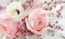 郑博士：2011年9月12星座最佳配对