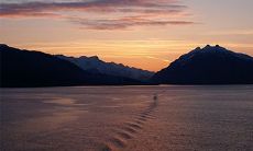 虎年出生的女孩生活是怎样的？你的性格好吗？