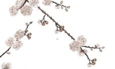 2023属猴每月运势运程