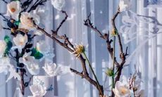 十二星座谁最阳刚