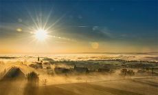 老虎出生的时候是什么样的老虎？财运旺吗？