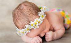 虎年出生的女孩命运分析[印石]