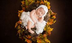 2022生肖虎毛毛是人生最好的？胡帽男女命运的详细解释