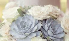 处女座的上身星座