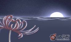 伤官劫财同时出现有何命理特征