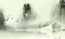 时尚好听的名字