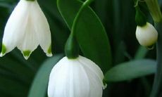 2019年阴历冬月廿四是出殡吉日吗,今天卦象怎么样？