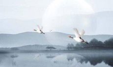 好听的寿司名字