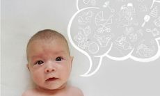 梦见狗扑咬自己是什么意思