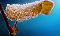 农历十二月为什么称为腊月 腊八节是在腊月什么时候？