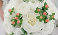 男摩羯水瓶座和女白羊座一区配对