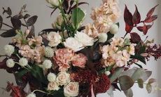 金星跟上升星座呈90度