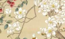 属猴2023年健康运势如何呢