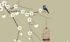 属兔人2023年一月份运势