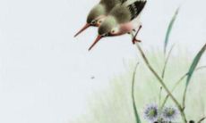 在2023年犯太岁的属相