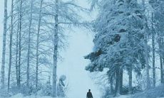 农历十月出生要几月怀孕,农历十月出生12生肖命理解析！