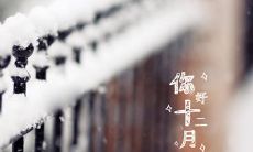 2019年十二月十一日日子好不好？黄道吉日有什么意义？