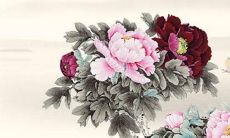 属猴女今年运势2023年运程