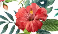 2023年属兔的几月好