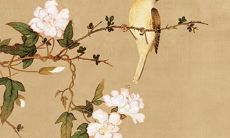 属牛2023年今年多大了