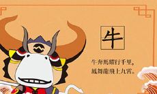 2021年我属猪老公属牛生牛宝宝怎么样？