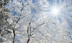 2019年农历十二月腊月适合祭祀祭祖黄道吉日一览表！