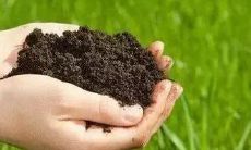 五行中哪一个土命优秀?土命跟水命相互克制吗