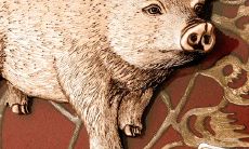 未时出生的属鼠女孩命运好不好