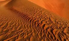 土命六种分别是哪些?6种土命怎么分