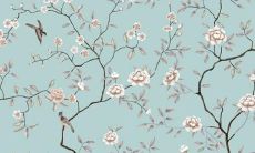 属牛的2023年1985