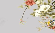 2022属猴的大灾之年 会遇到什么灾