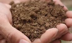 土命的人住水的楼层?土命的人命运如何