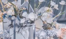 面对工作能充满jiqing 一腔热血的五大星座