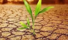 土命克水命是指怎么克?金木水火土五行元素