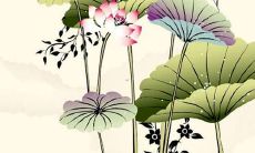 2023年属兔女取名