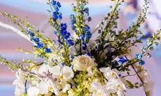 花心 但并不好色的星座