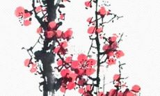 钢铁直男 喜欢提醒女生多喝热水的星座男