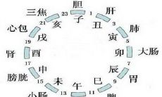 黄帝内经十二时辰养生法对照表详细,时间表