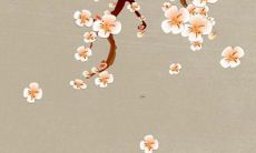 2023年出生的命运详解