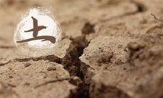 土命五行缺木怎么补？土命忌讳什么？