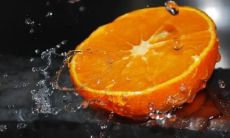 属猪的和什么属相最配 属猪最配的属相是什么生肖