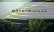 甲辰日柱女命2022年运势