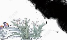 属兔的2023年运势