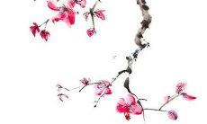 好听的情侣名字3个字